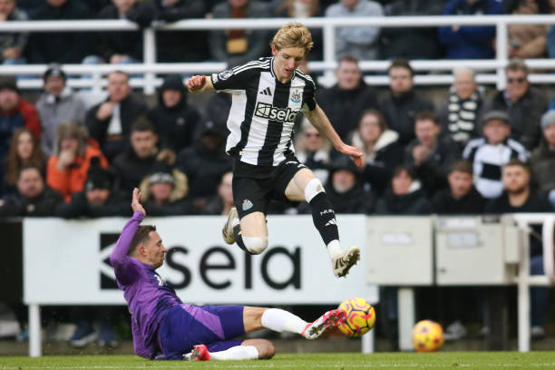 他们仅赢下 他们仅赢下