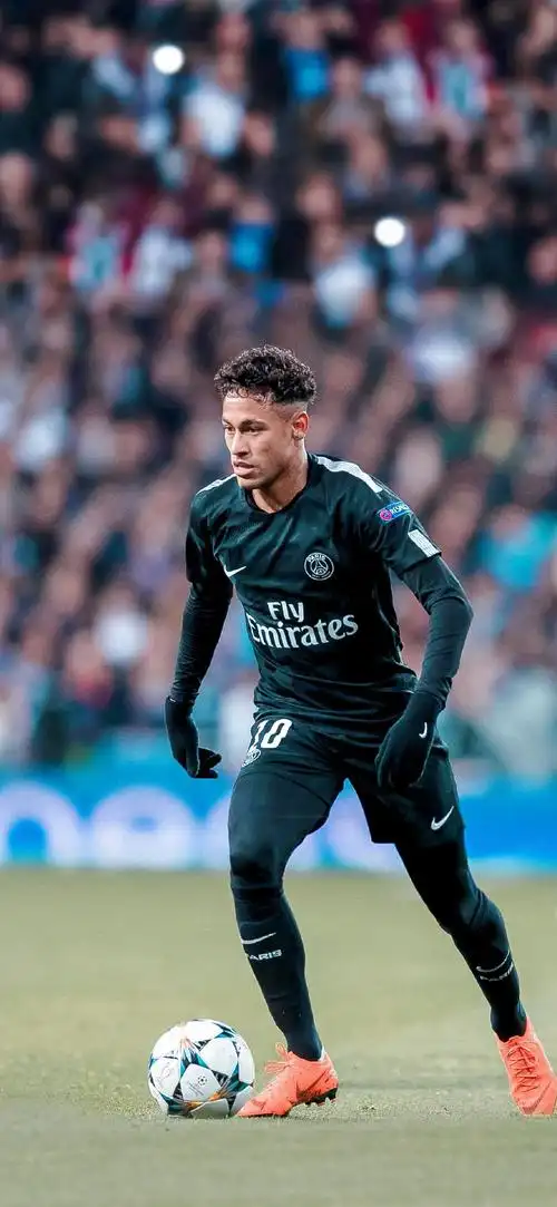 的深远眼光 的深远眼光